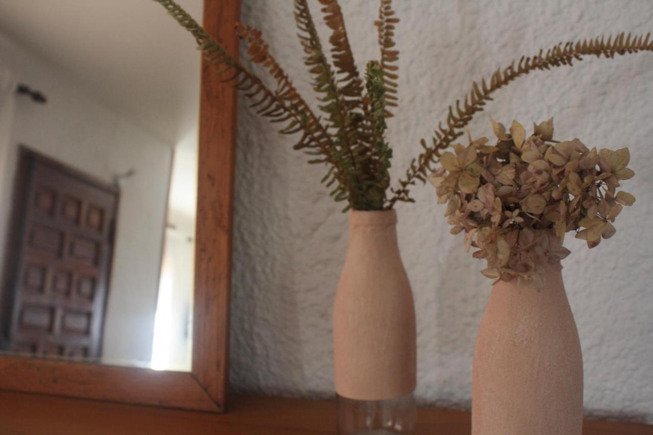 Apartamento Can Jaramills Tordera Dış mekan fotoğraf